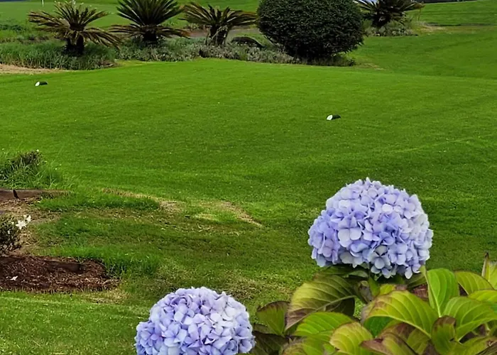 Hébergement de vacances Maison Avec Vue Exceptionnelle Sur L'océan - 5 Mn Du Centre *